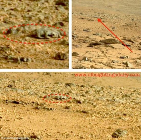 一位视觉敏锐的科学博客写手称，他发现一条蜥蜴在火星上漫步。