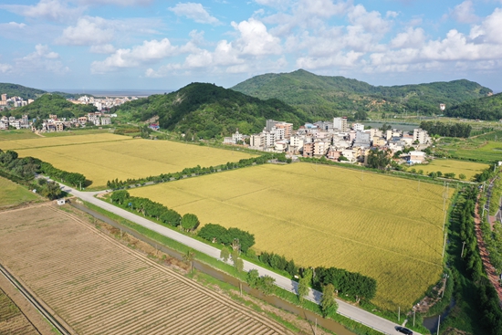 定制“大礼包”为种植户保驾护航