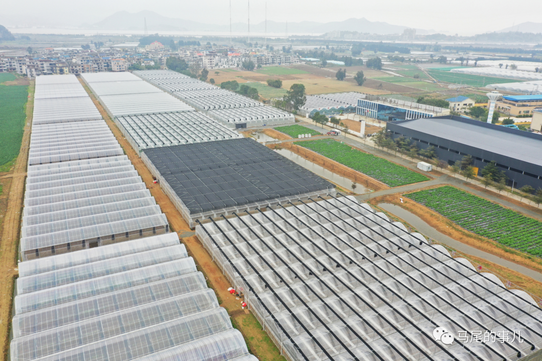 琅岐种苗创新基地一期建成投用