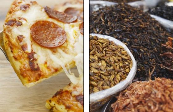 未来的比萨可能含有昆虫，而不是奶酪和意大利辣香肠