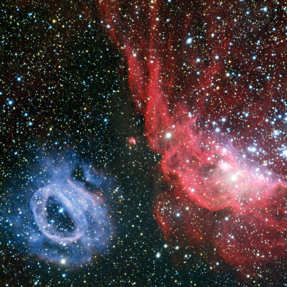 近期欧洲南方天文台的甚大望远镜在这里观测到一个有趣的恒星新生区。在这里展示的这张照片中可以看到两个清晰的发光气体云团，分别是红色的NGC 2014以及它身旁蓝色的NGC 2020