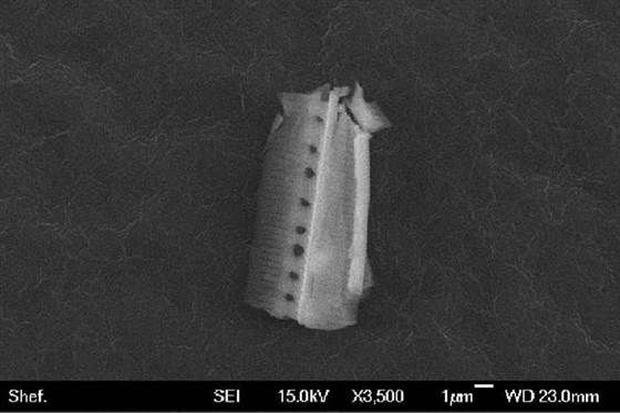 英国科学家在高空检测到硅藻体碎屑物质