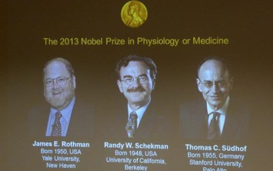 2013年诺贝尔奖生理学或医学奖获奖者：（从左至右）美国科学家詹姆斯.罗斯曼和兰迪.谢克曼、德国科学家托马斯-C.苏德霍夫因