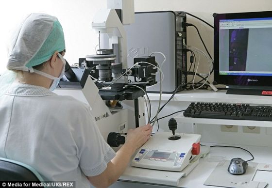 科学家在实验室中通过显微镜进行试管婴儿手术的操作