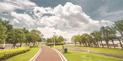 东江滨公园：绿化、美化、香化的生态廊道