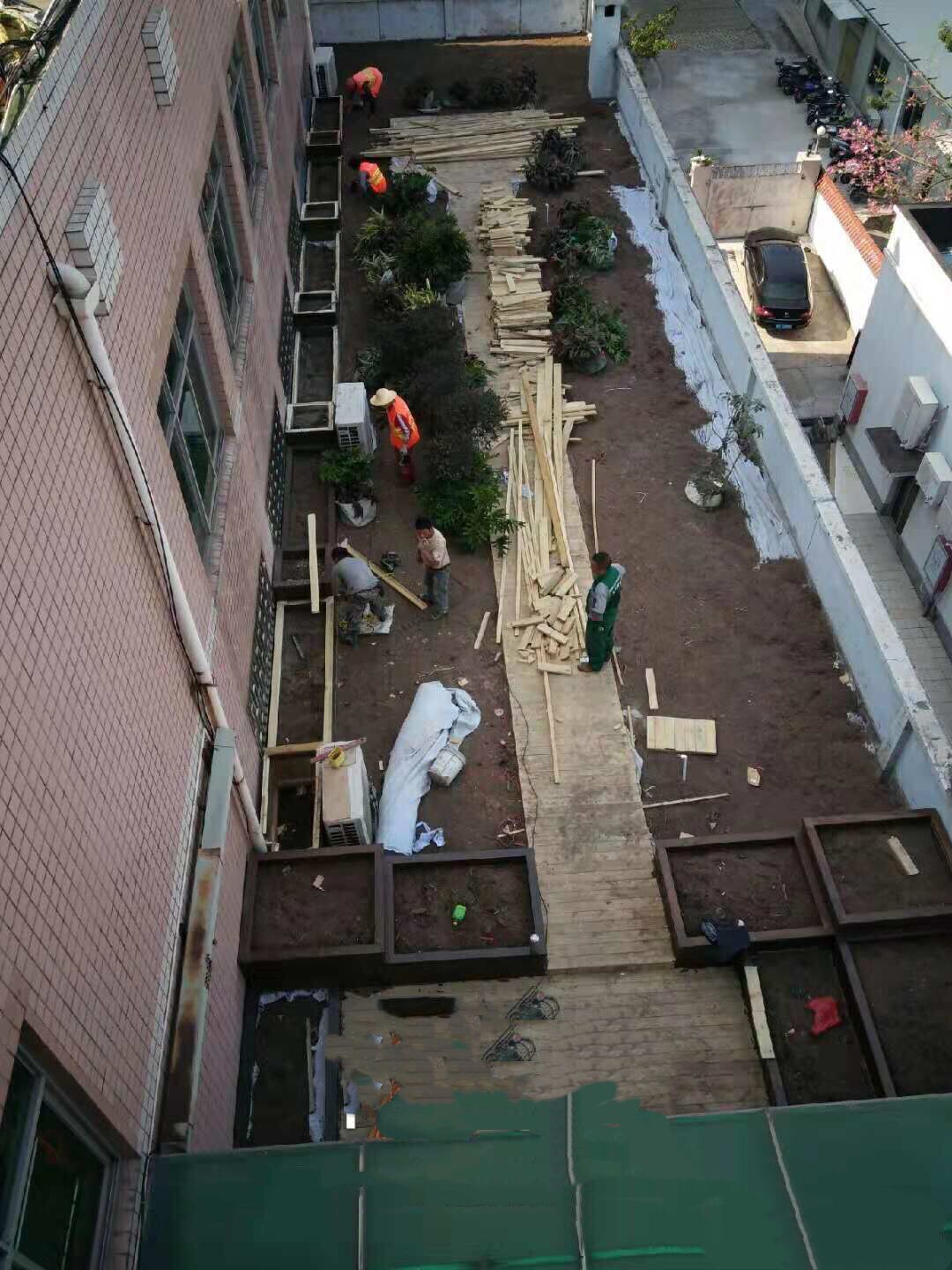 我区今年新建10处屋顶绿化