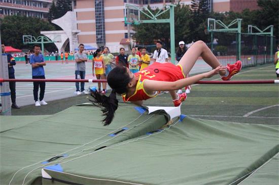 我区举行第三十六届中小学生田径运动会