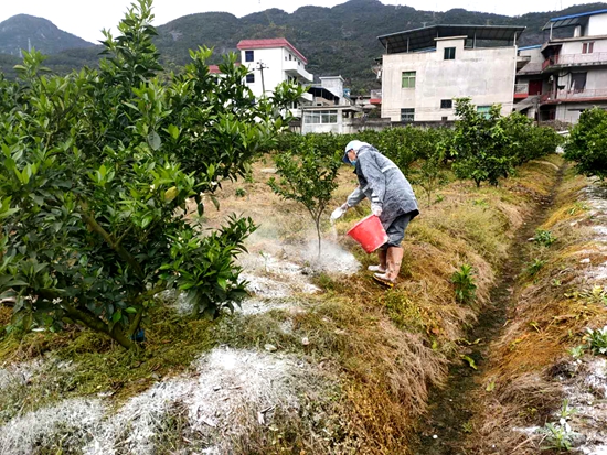 马尾区今年实施530亩耕地安全利用试点项目