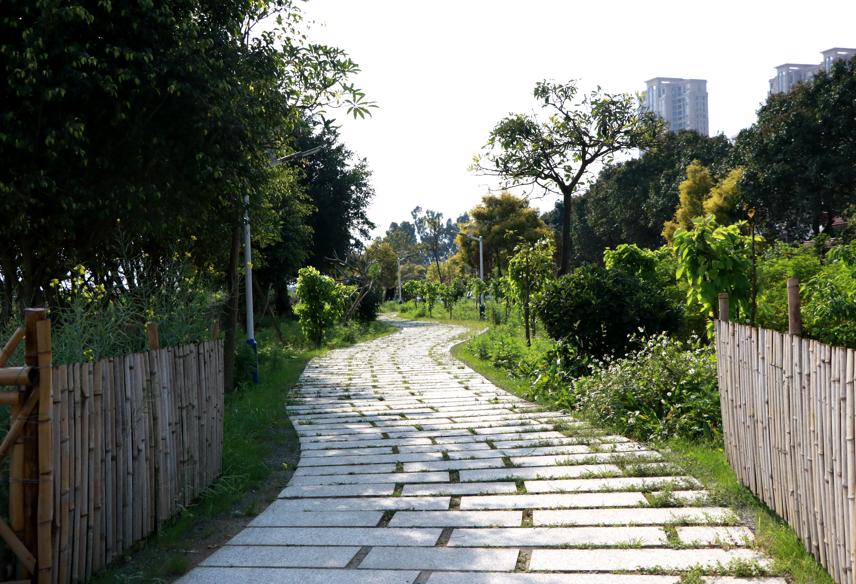 闽江村：打造“吃、住、玩”一体的美丽乡村精品村