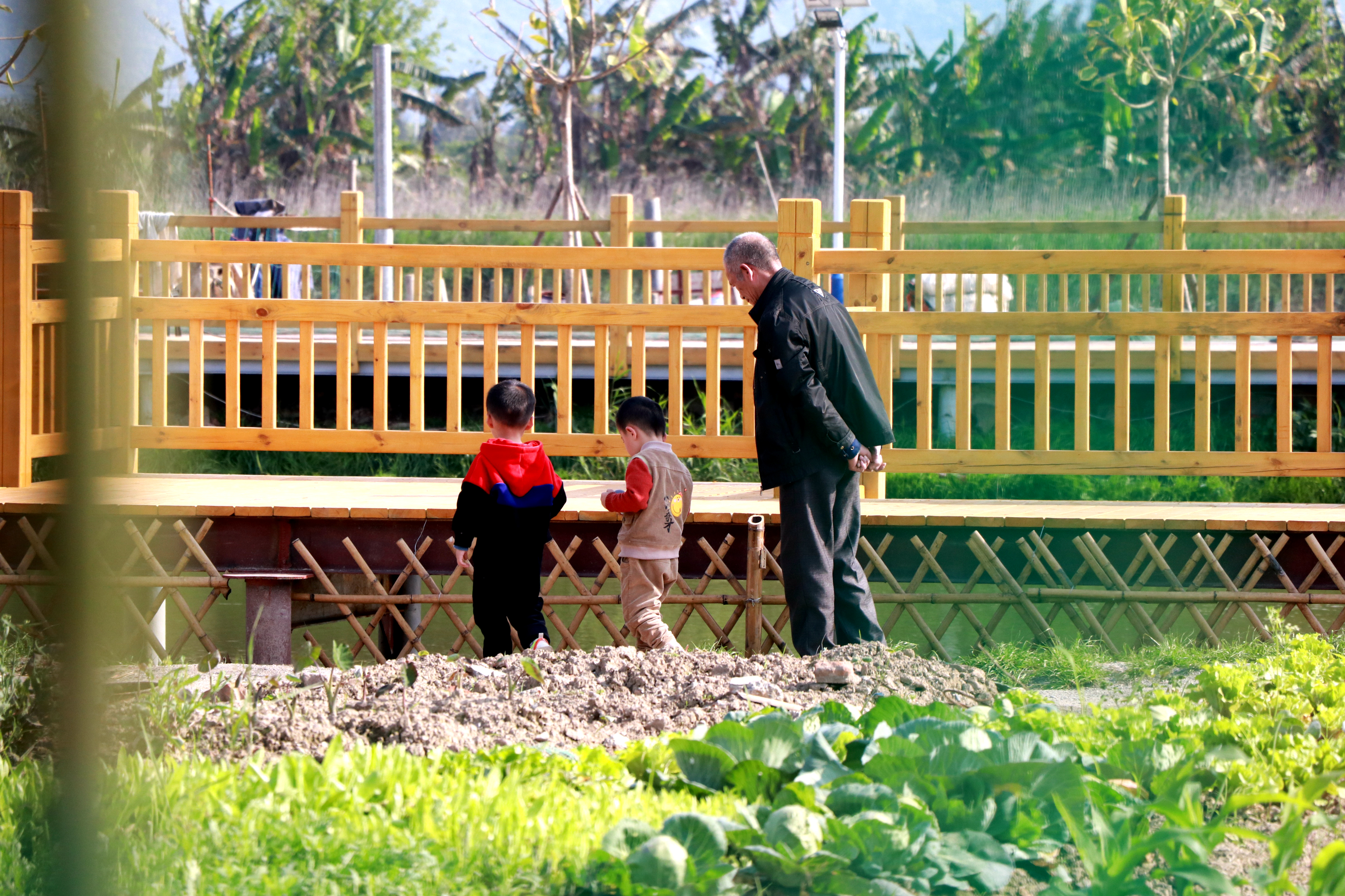 闽江村：打造“吃、住、玩”一体的美丽乡村精品村