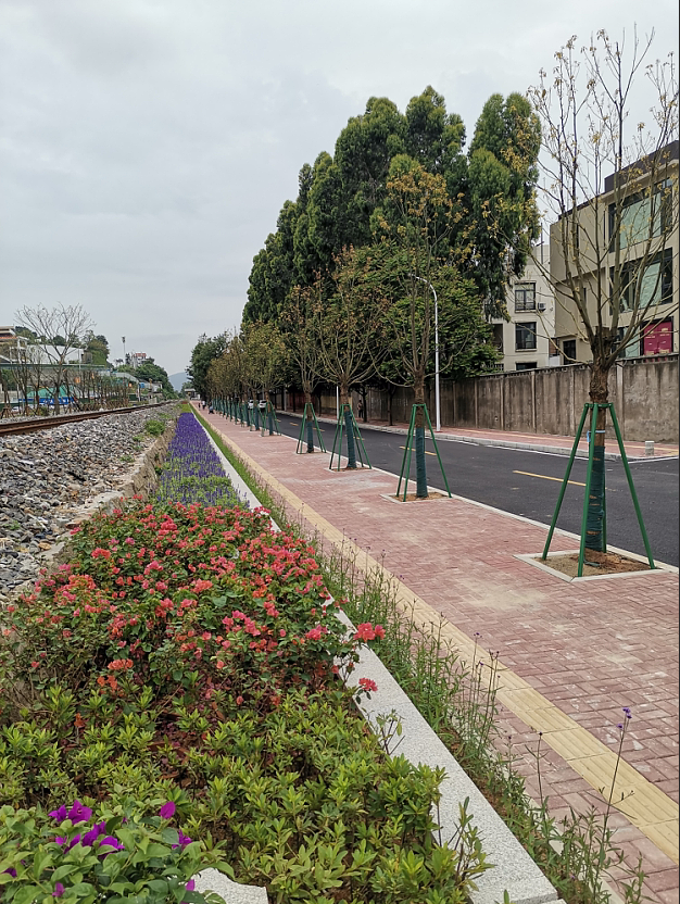 旺岐路大变样 四季繁花还有超大停车场