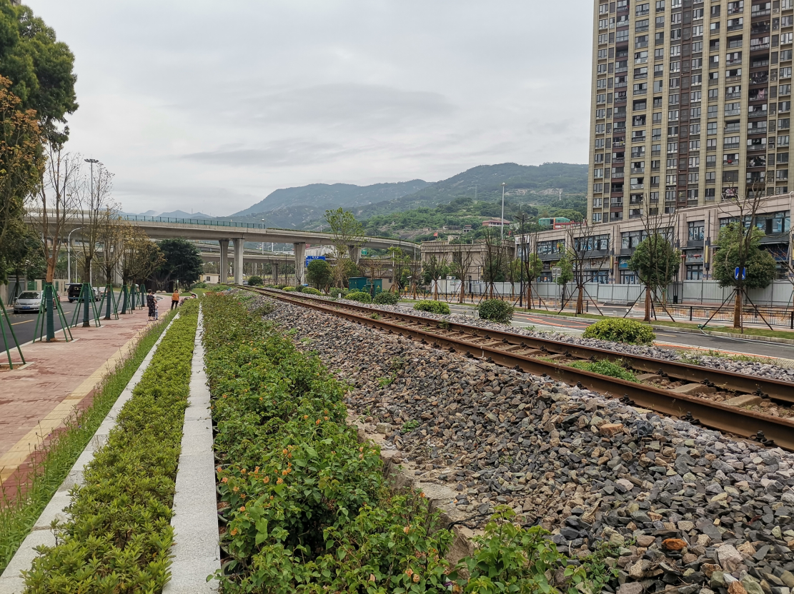 旺岐路大变样 四季繁花还有超大停车场