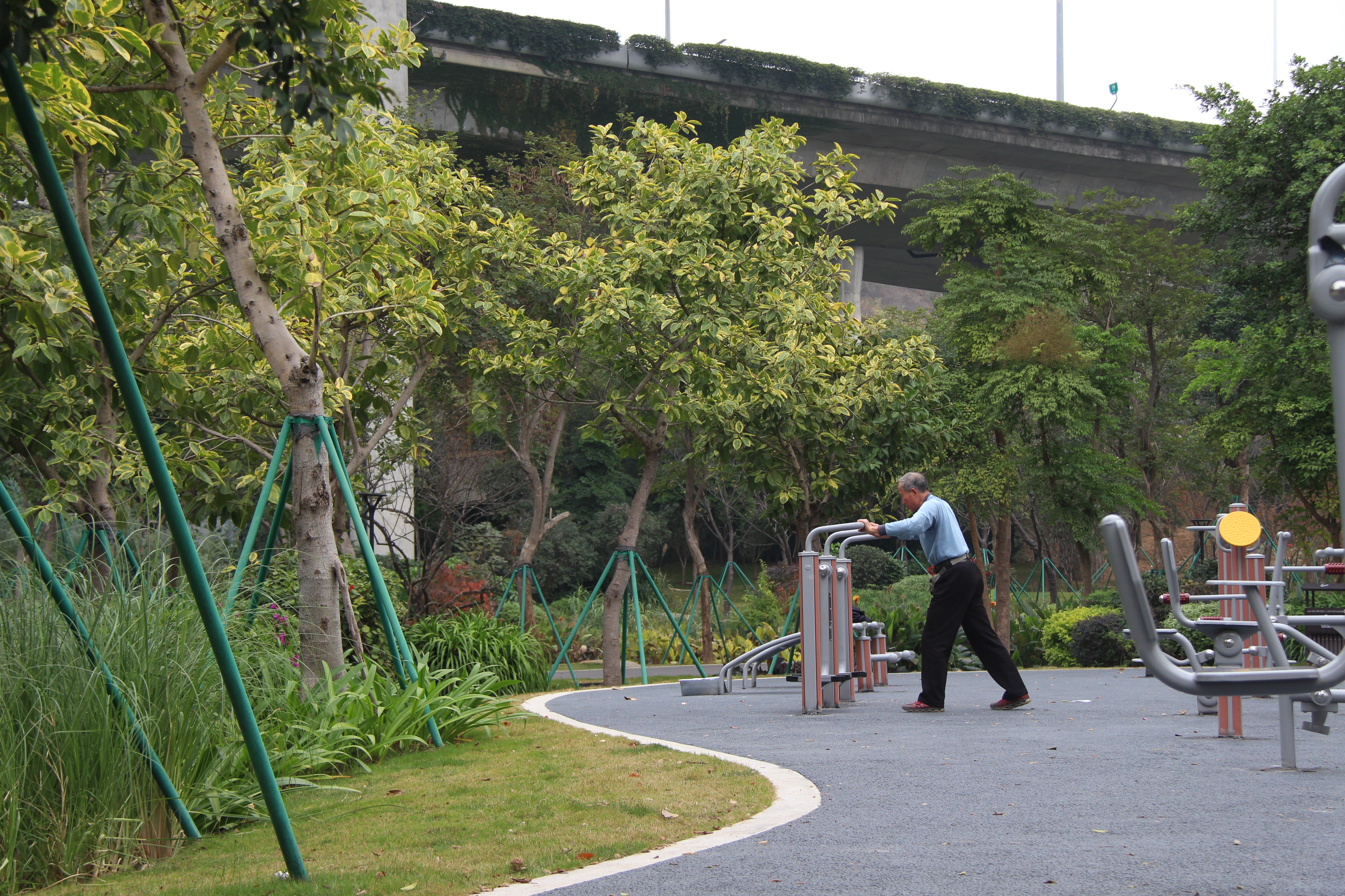 魁岐互通高架桥下新增休闲体育公园