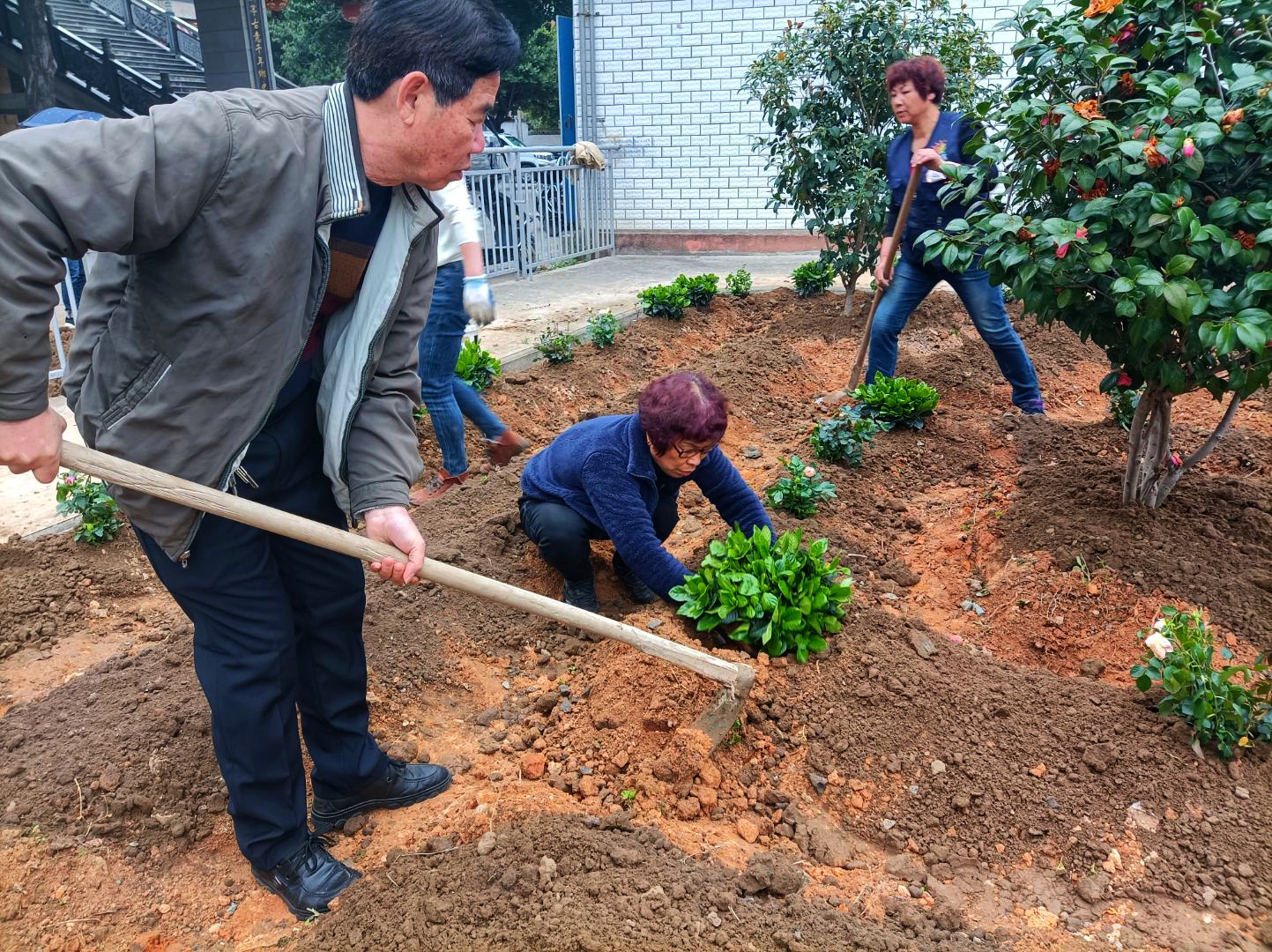 乐村村开展“努力春来自种花，乐享人生复昭华”活动