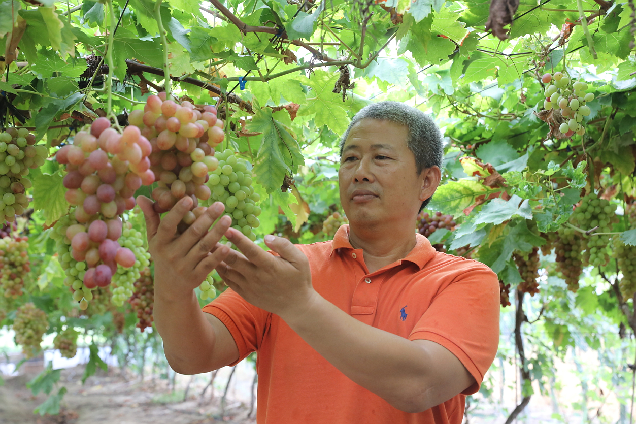 首届果蔬节在琅岐圆满收官