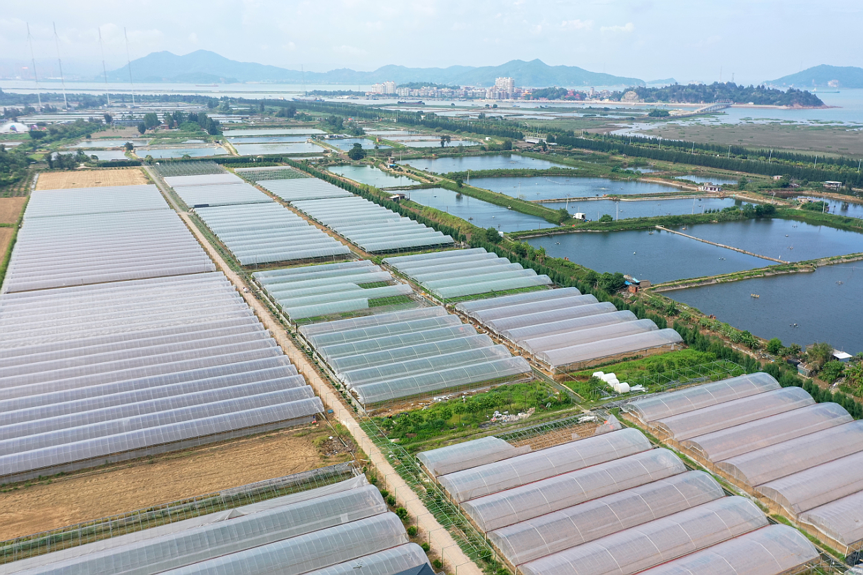 首届果蔬节在琅岐圆满收官