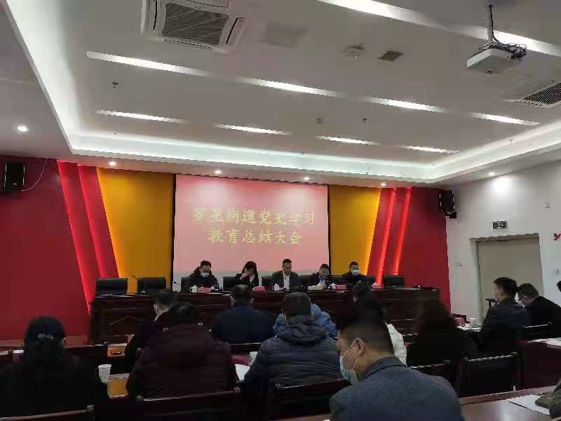 罗星街道召开党史学习教育总结大会