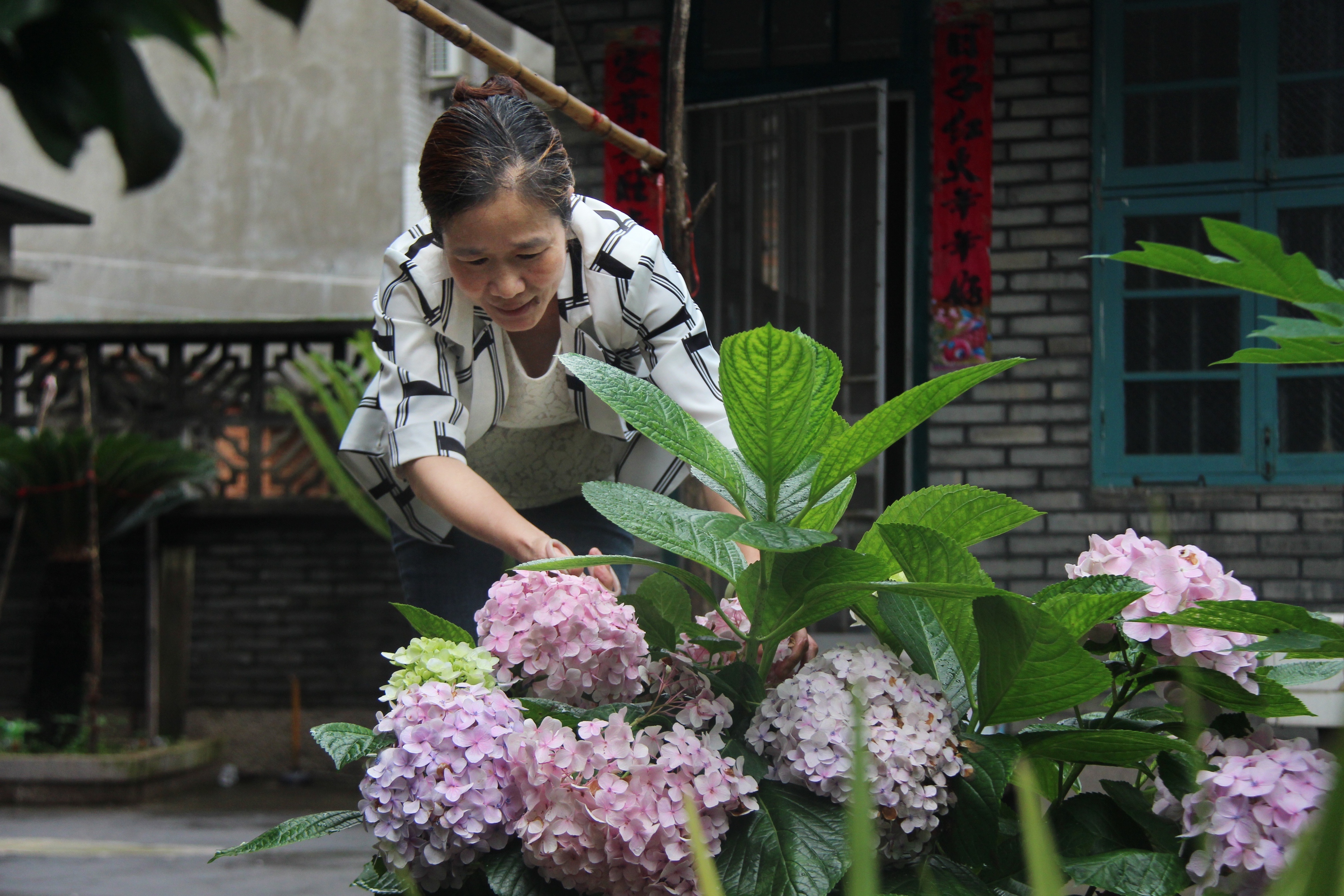 党建引领 侨乡盛开“文明花”