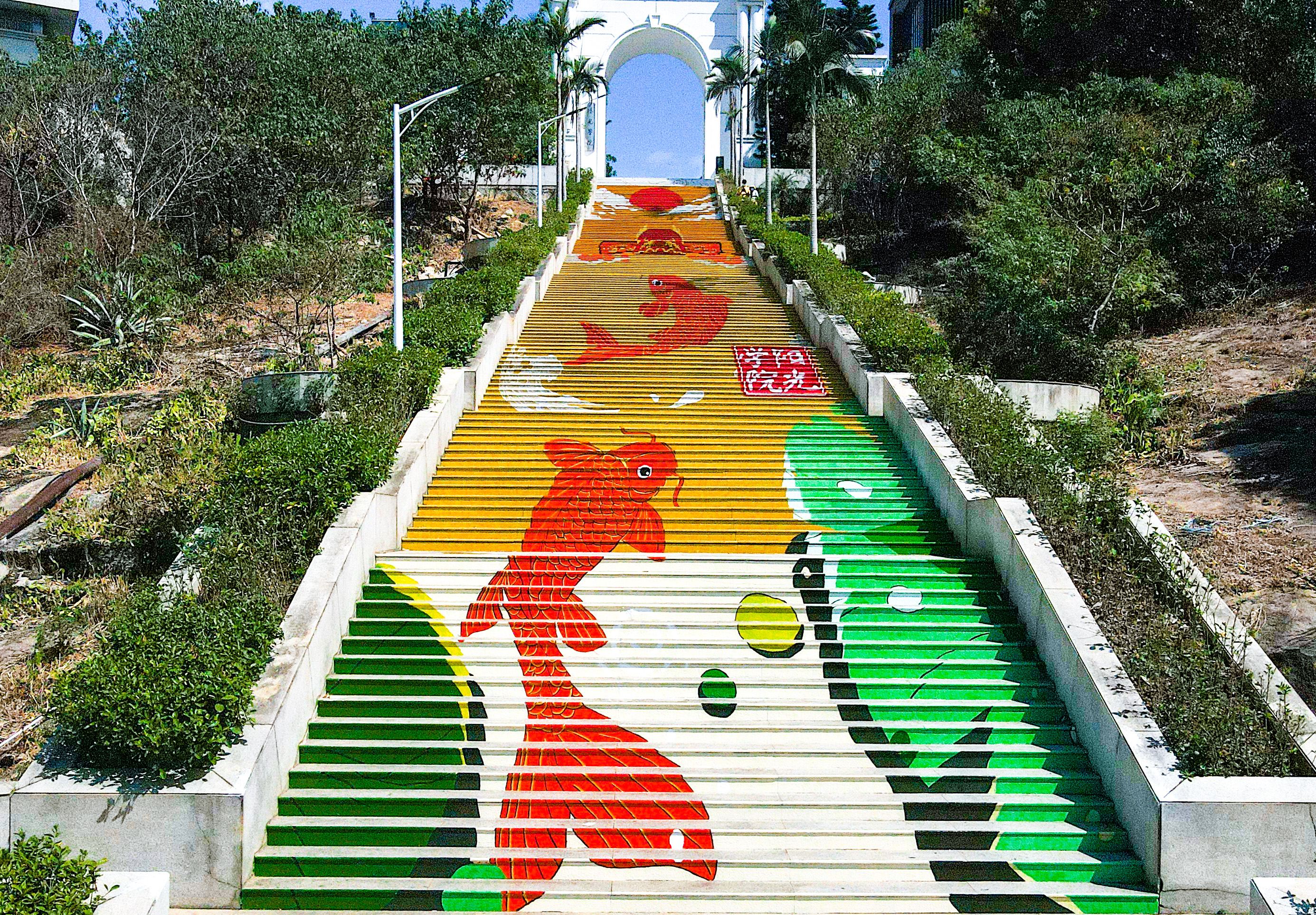 阳光学院打造全省最大校园阶梯彩绘