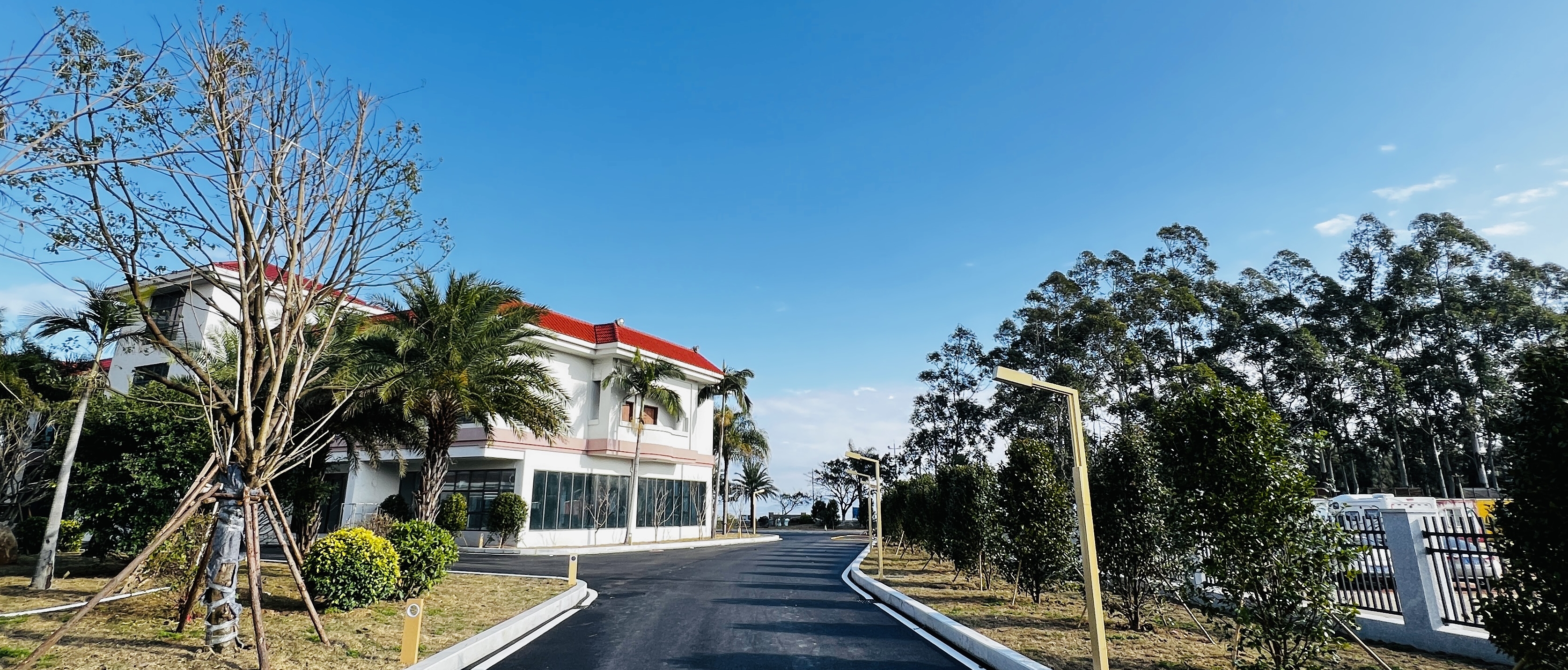 马尾望江楼酒店全新升级 将于“五一”对外开放