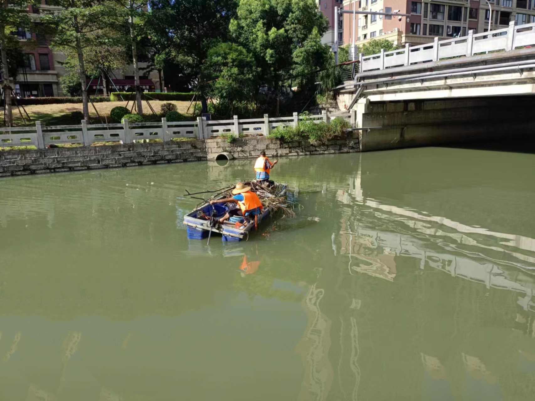 暴雨过后，他们迅速行动，争当河道“清道夫”