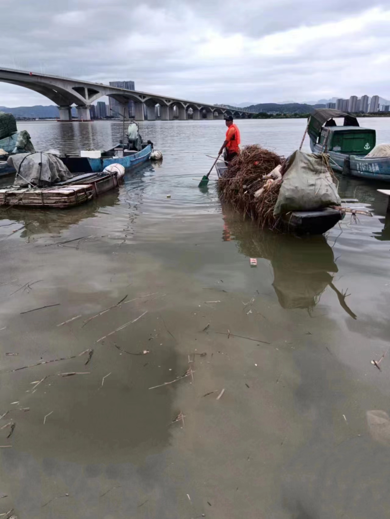 暴雨过后，他们迅速行动，争当河道“清道夫”