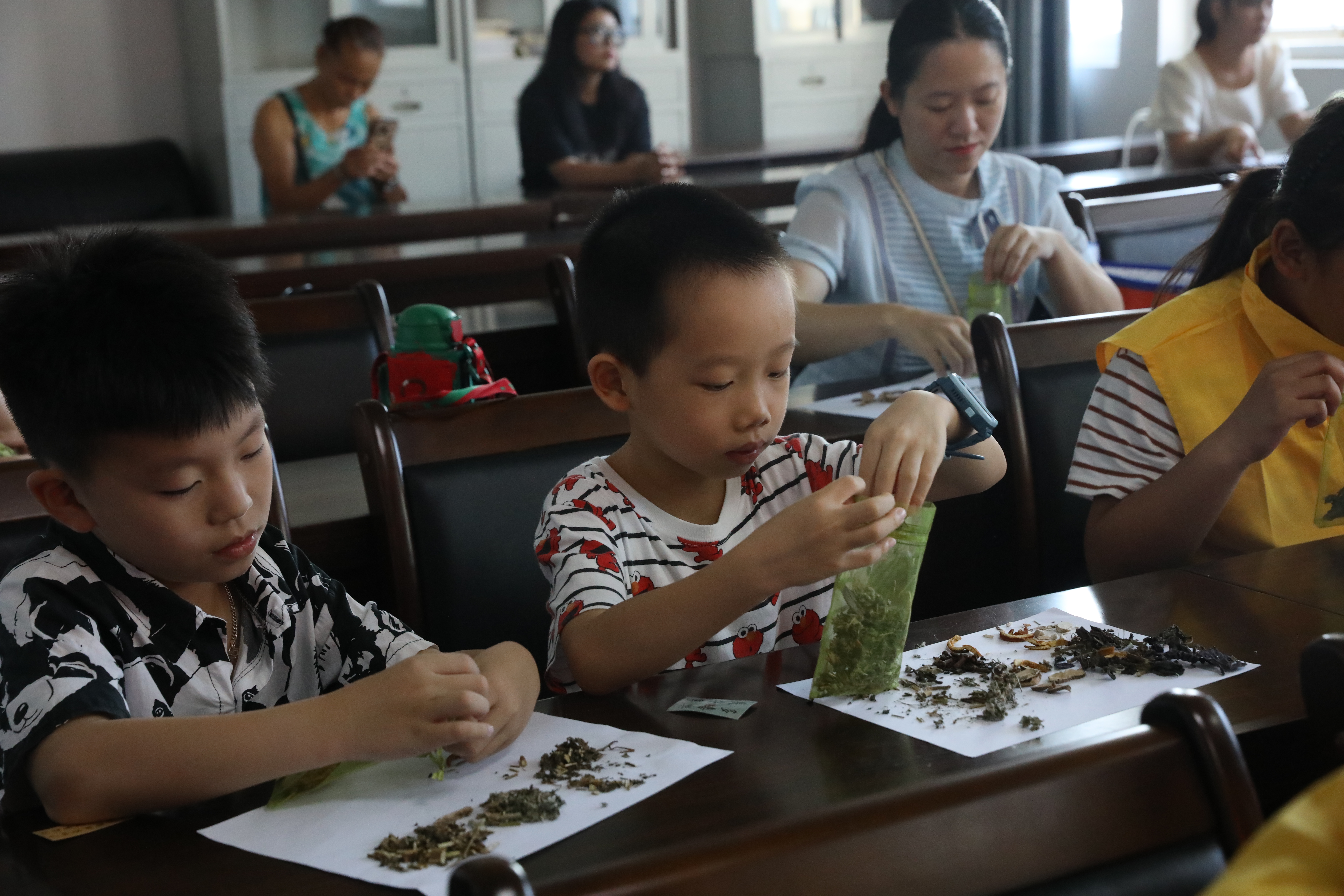 走近中医传统 研学体验传承