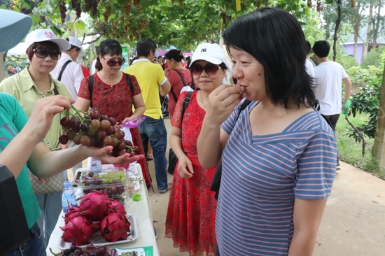 “来琅岐·浪起来——2019福州·琅岐葡萄旅游节”精彩开幕 