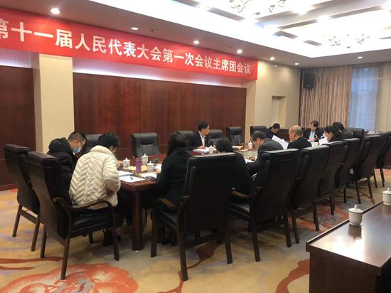 区十一届人大一次会议议案审查委员会会议召开