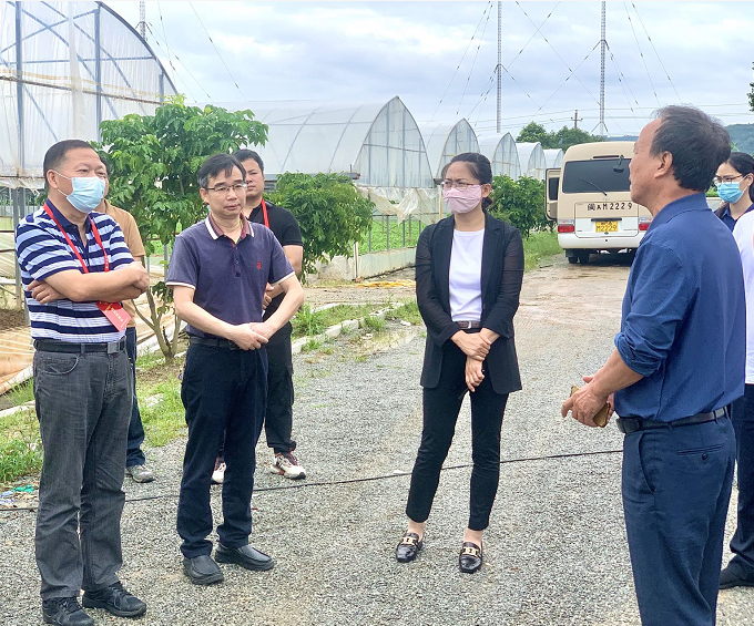 区人大常委会开展执法检查