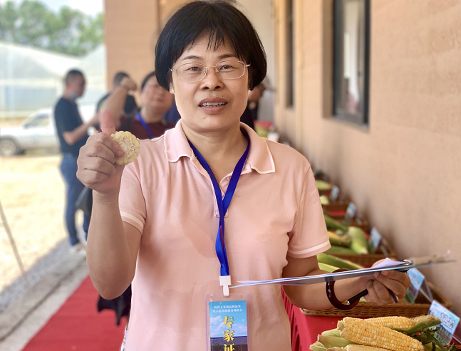 福建省种业创新基地鲜食玉米新品种品鉴暨示范基地推介观摩会举行