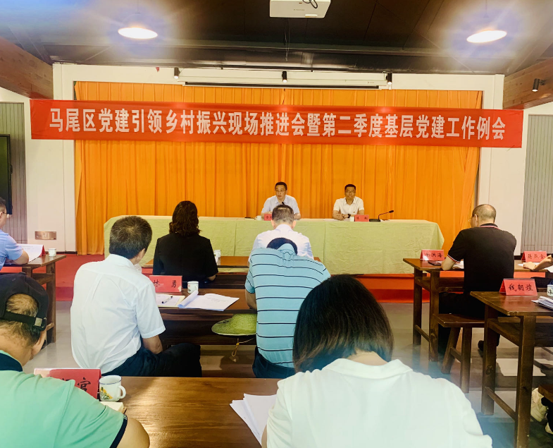 全区党建引领乡村振兴现场推进会暨第二季度基层党建工作例会召开