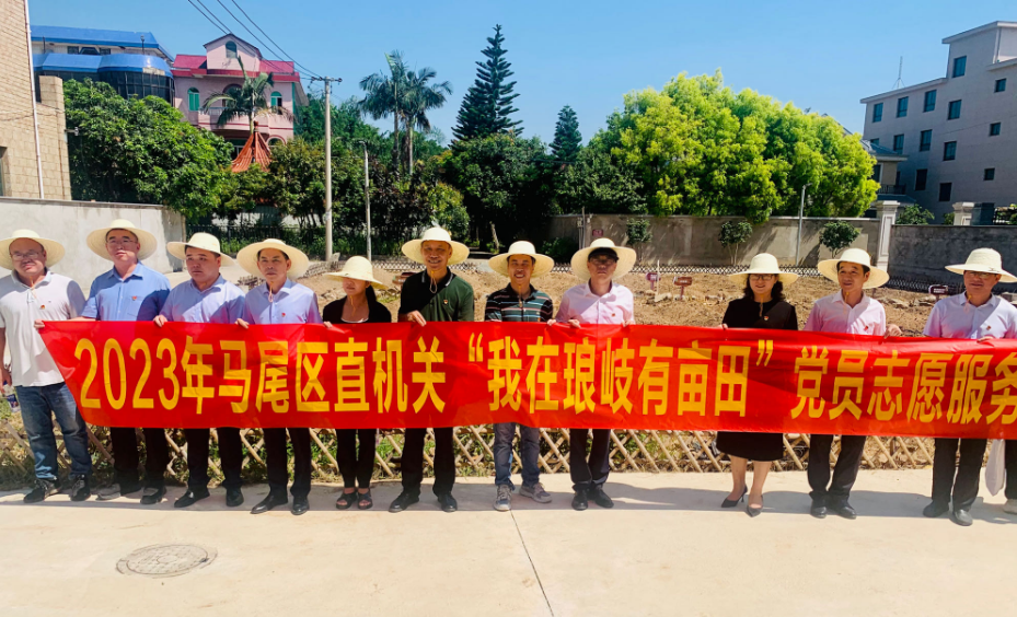 全区党建引领乡村振兴现场推进会暨第二季度基层党建工作例会召开