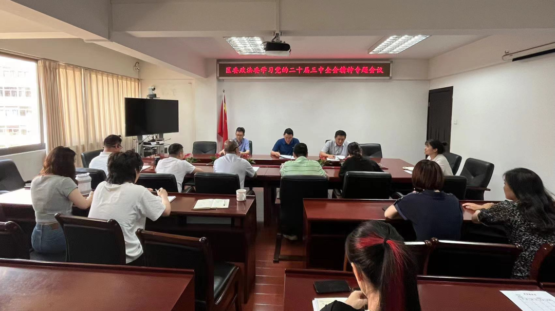 区委政法委传达学习贯彻党的二十届三中全会精神